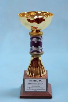 III место школы 617 в Олимпиаде по физкультуре 2010-2011